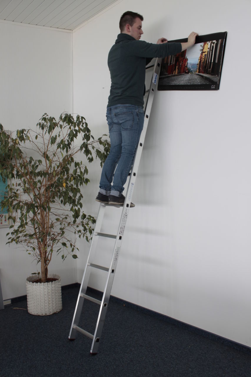 CORDA Leaning rung ladder 10 steps (01-010100) - Image 2